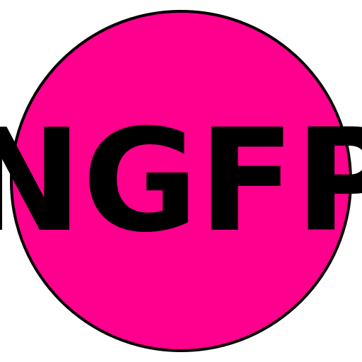 NextGen Fit Pros