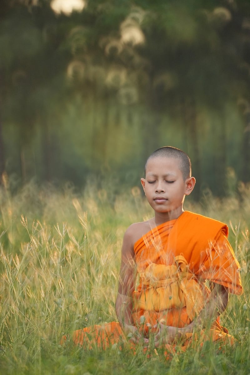 Tai Chi Yoga Meditation